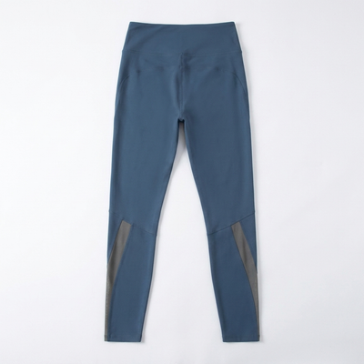 Whale Blue